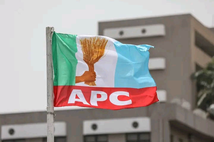You Mustn’t Go Unpunished – APC Goes After Its Members In Anambra